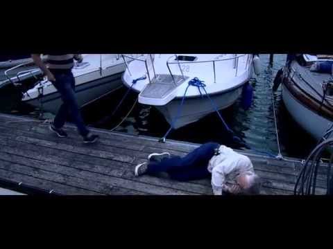 Forskningens dag 2014 - När hjärtat stannar