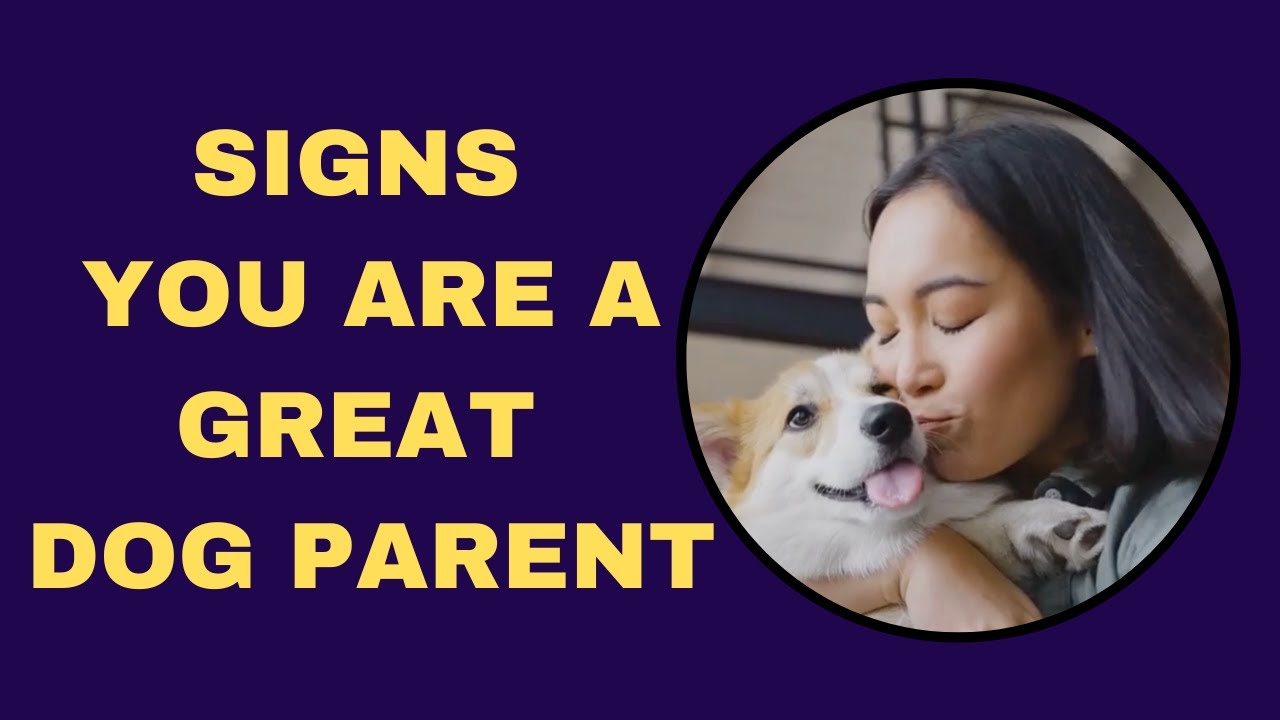 10 Signs You're a Great Dog Parent!