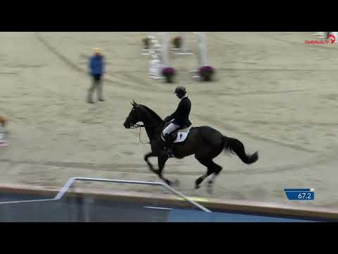 Luigi D'Eclipse - 4th CSI2* Grand Prix Sentower Park