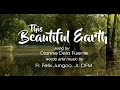 THIS BEAUTIFUL EARTH