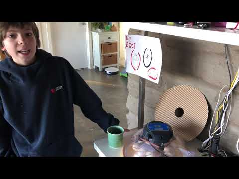 Hatching Chicks - Brinsea Maxi II Eco first run!