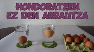 Esperimentua: "Hondoratzen ez den arrautza"