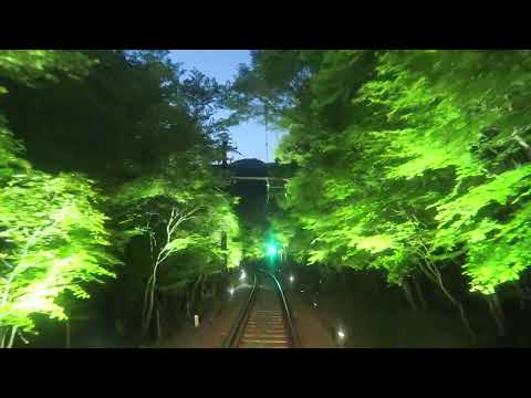 青もみじ新緑のライトアップ（2023年4月28日試験点灯）