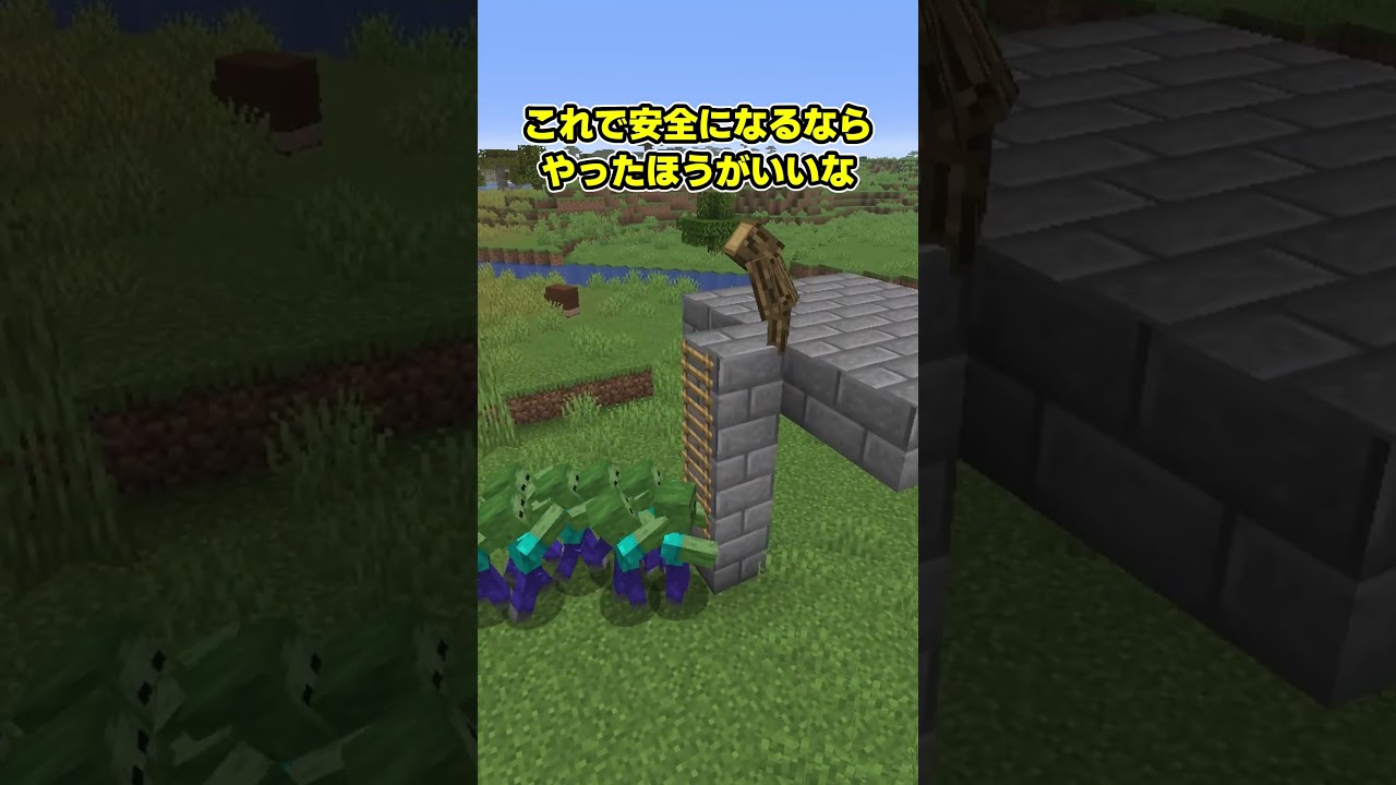 はしごを一番下まで置くのは危険【マイクラ】