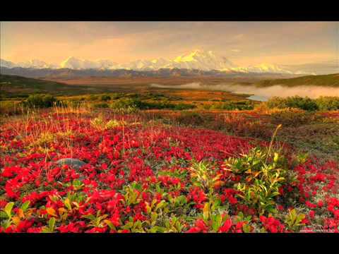 Daji Screw ft. Kate Lesing - You Do (Overseas Remix @ be-nice remix)[HD]