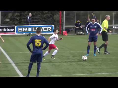 s. v.  de Valleivogels 1 - Blauw Geel '55 (samenvatting)