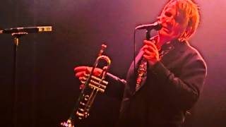 Element of Crime: Lieblingsfarben und Tiere (live at Rolling Stone Weekender 2015)