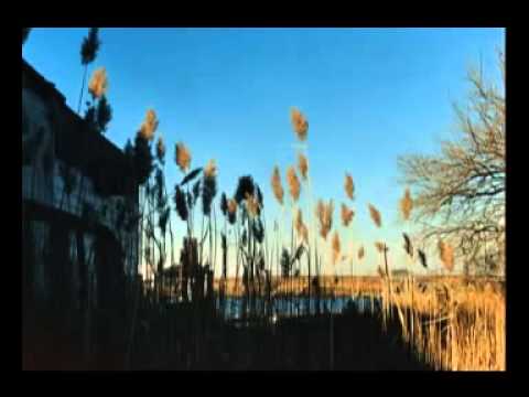 07 The Cinematic Orchestra   Breathe ft  Fontella Bass