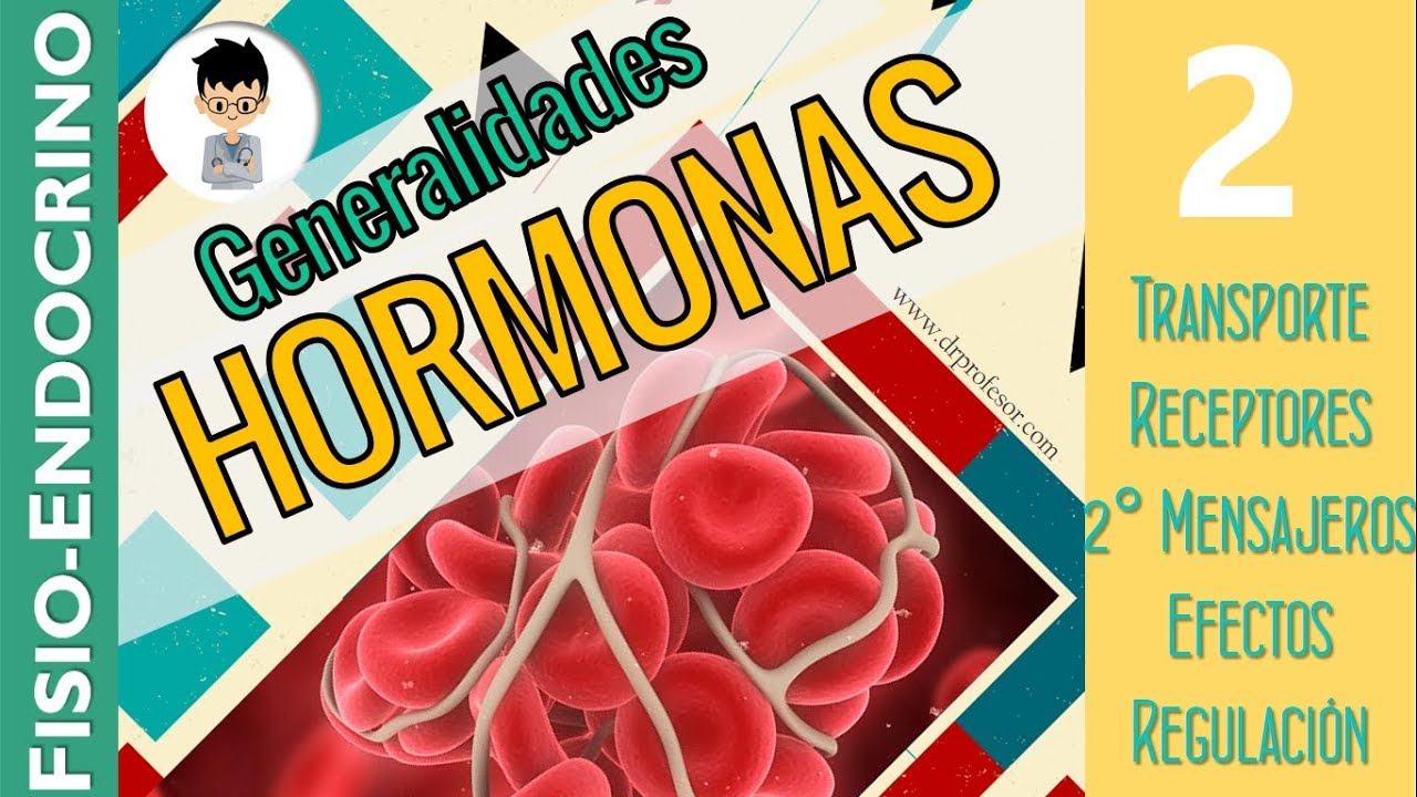FISIOLOGÍA ENDOCRINA, Generalidades, Transporte hormonal, Receptores, 2dos mensajeros,|INTRO|2