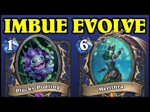 The New Evolve Shaman is AWESOME!