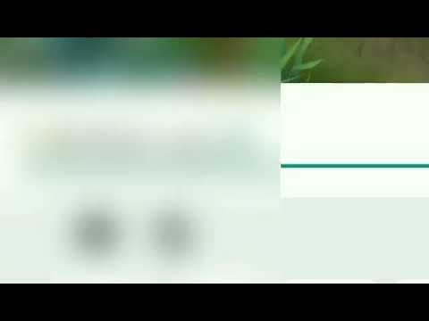 Yung harap harapan kang sinaktan