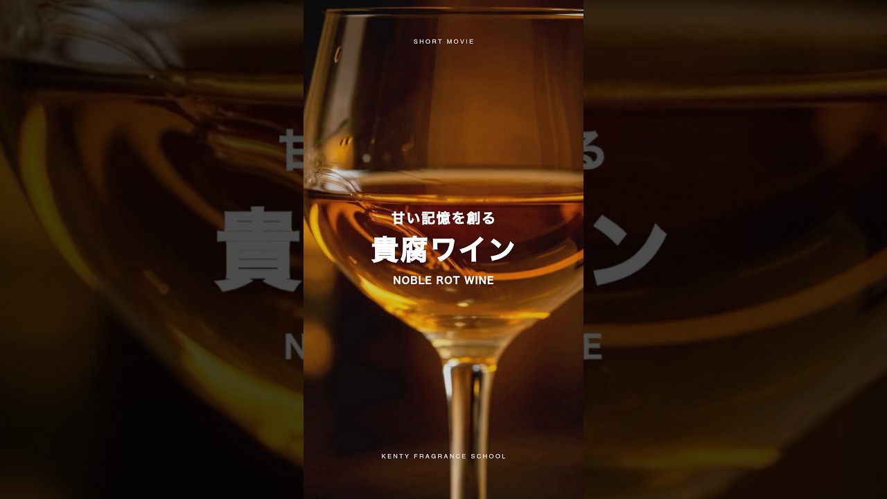 テオブロマ ショコラ エ ソーテルヌ 香水レビュー｜甘い記憶をつくる貴腐ワインの香り　#香水 #フレグランス #テオブロマ #ショコラエソーテルヌ #貴腐ワイン