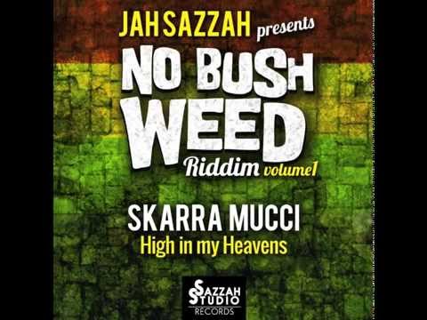 Skarra Mucci - High in my heavens [Prod.Jah Sazzah]