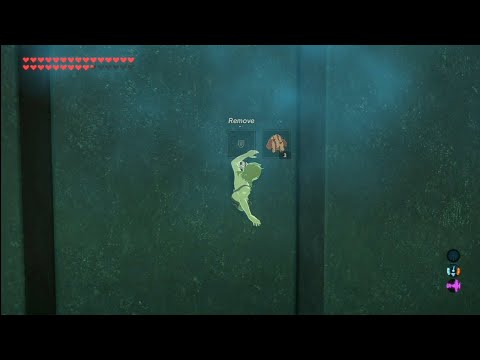 Botw How to shield clip through walls in Master sword trials