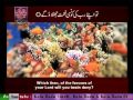 Surah Ar Rehman N 55 Urdu English Translate By Qtv