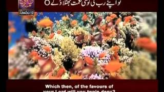 Surah Ar Rehman n° 55 Urdu & English Translat