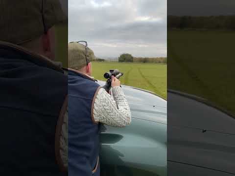 Is .17 HMR the best rimfire? Small but mighty 💪🏼 #rimfire #17hmr #czrifle #ballistictip