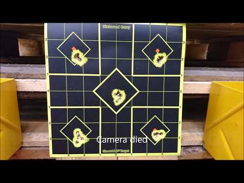 FX Crown .25 50m/55yd