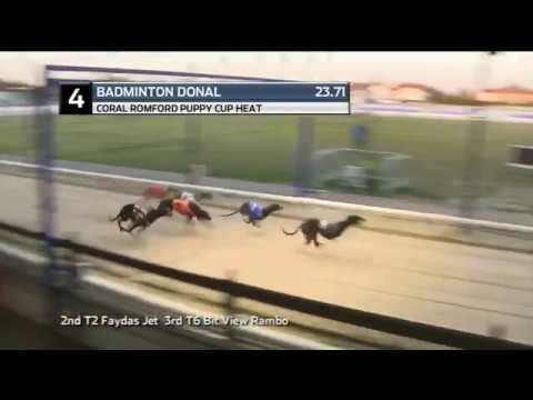 2019 ROMFORD PUPPY CUP - HEAT 1 - T4 BADMINTON DONAL