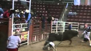 preview picture of video 'Utah High School Rodeo Bullriding--Icebreaker Invitational 1st Round'