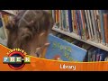 Library Virtual Field Trip KidVision Pre K