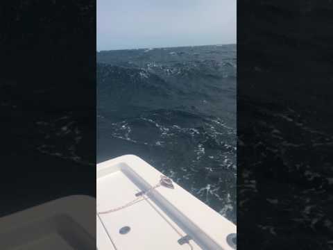 Sportsman 247 Masters handling in rough water