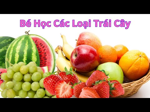 Bé Khám Phá Trái Cây Kỳ Diệu – Bí Mật Từ Vườn Nhà P1