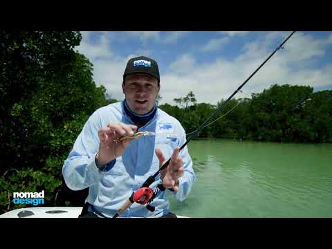 NEW Small DTX Minnows