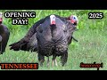 Opening Day Of Tennessee Turkey Season 2025 Turkey Hunting 2025