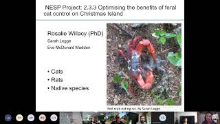 Reintroduction planning for islands and havens: frameworks and population genetics tools