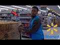 I Got A Real Job