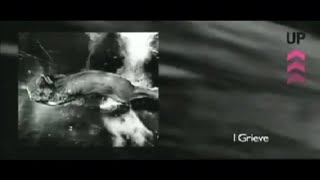 Peter Gabriel - I Grieve (Video)