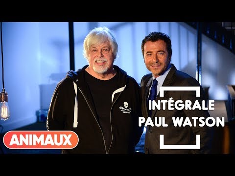 Paul Watson dans Animaux Stars (intégrale) - Animaux