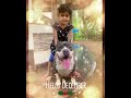 |hello December |American bully |gsd|