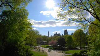 Runner Runner - She&#39;s My Kinda Girl