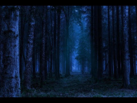 CHRUZ-FRIDAY NIGHT ATMOSPHERIC DEEP HOUSE&DUB MIX#030 #Deephouse #Dubtechno #Atmospheric