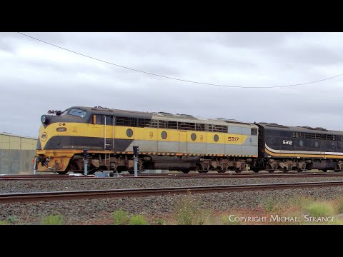 S317 & S312 Southern Shorthaul Railroad Broad Gauge Diesel Locomotives (28/2/2023) - PoathTV Trains