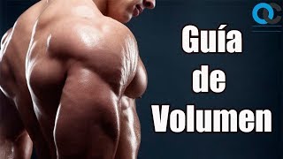 Ganar masa muscular paso a paso