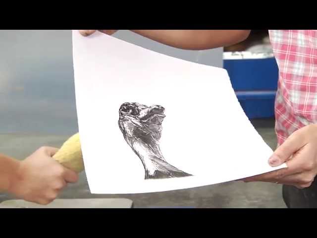 VIDEO_TITLE