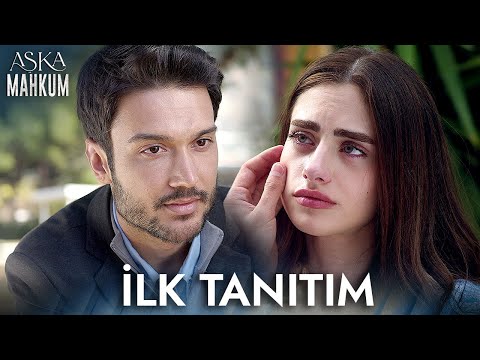 Трейлер «Заключенный любви»
