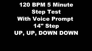 CBP PFT 1 5 minute step test. With Vocal Prompts