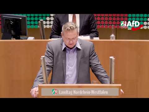 Wie pädophile Nazi-Grüne Kitas bis heute prägen! – Prof. Dr. Daniel Zerbin (AfD)
