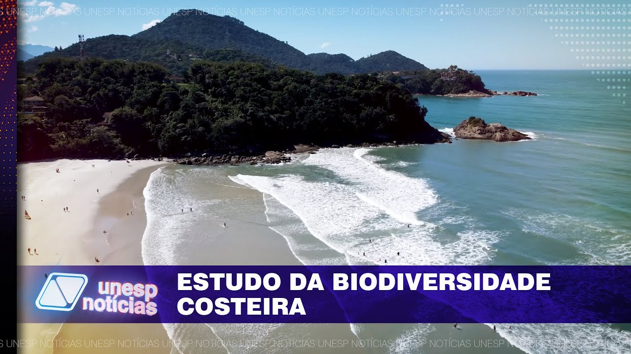 Unesp e Universidade da Virgínia promovem atividades de estudo no litoral de São Paulo #tvunesp