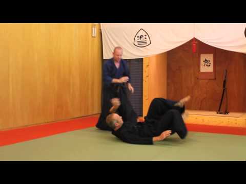 Video 1