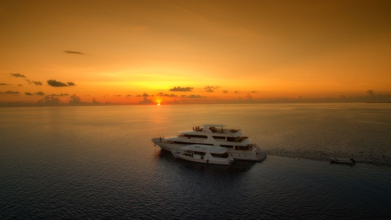 Carpe Diem Maldives (Cruises) video