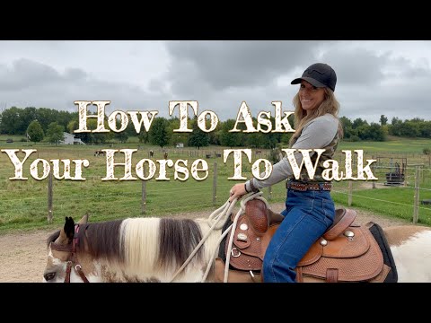 Lesson 1: How To Ask Your Horse To Walk