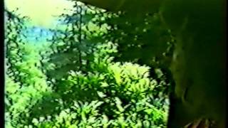 Exile & Exhileration - A Video Meme From Genisis P-Orridge 3/3