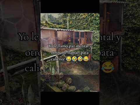 Vida de campo Karina morocho en busca de cuy padrote cuenca azuay #viral #suscribete