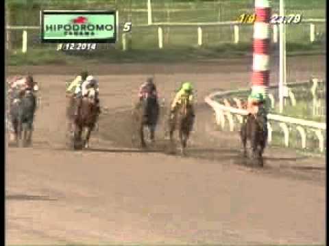 5TA CARRERA DOMINGO 12 DE ENERO DE 2014 HPR