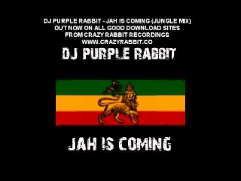 DJ Purple Rabbit - Jah Is Coming (Jungle mix) Out NOW on all download sites !!